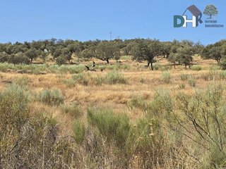 Terreno en venta en Mejostilla en Cáceres