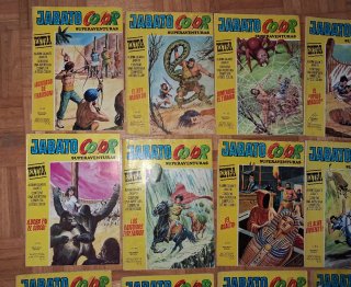 Lote 18 JABATO COLOR SUPERAVENTURAS