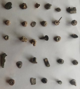 Lote de botones antiguos