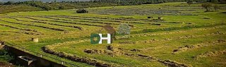 Terreno en venta en Ruta de la Plata en Cáceres