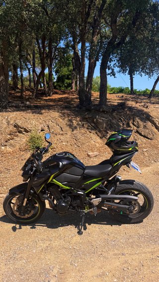 Kawasaki Z900 A2 Negra y Verde