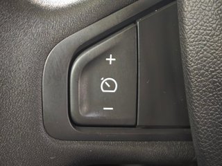Renault Scénic Privilege 2.0 140cv Auto-CVT