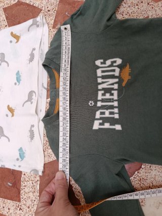 Lote 2 Camisetas Niño 18 Meses Tex Baby