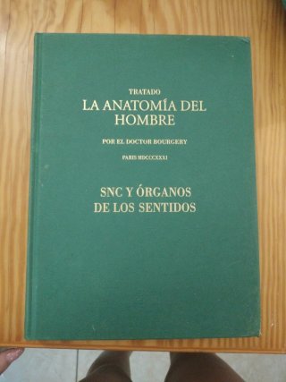 Tratado La Anatomía del Hombre - Dr. Bourgery