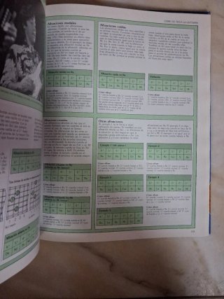 MANUAL DE GUITARRA - RALPH DENYER