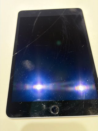 iPad mini 4 Plata