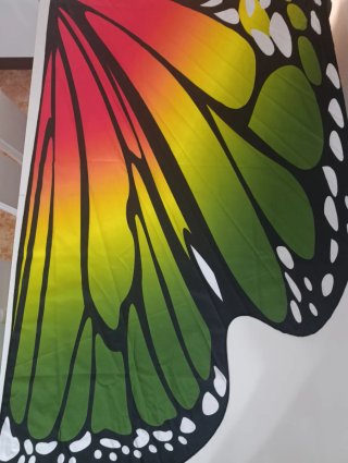 Disfraz alas mariposa