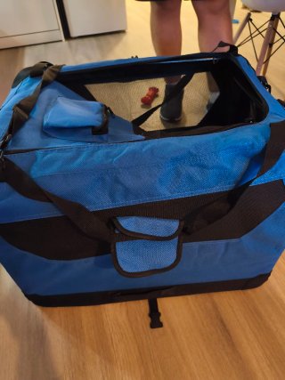 Transportín Plegable para Perros Amazon Basics