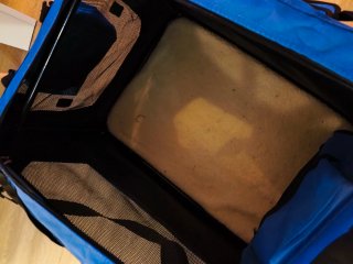 Transportín Plegable para Perros Amazon Basics
