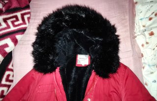 Vendo parka roja con capucha negra.