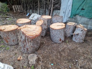 Leña para chimenea o barbacoa