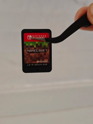 Minecraft Nintendo Switch