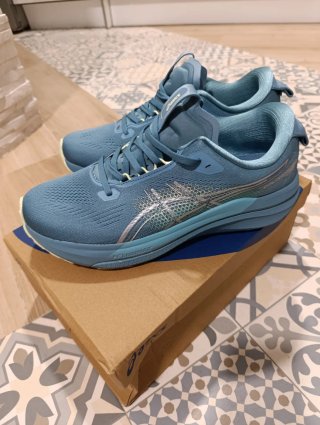 Zapatillas Asics Gel-Kayano 30
