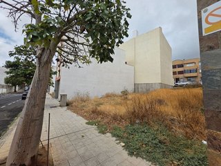 Fotografía 5