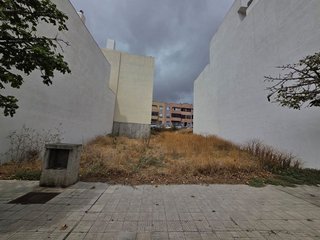 Fotografía 7