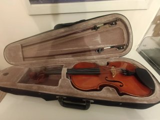 Violín profesional con estuche y arcos