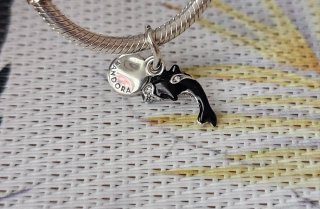 Charm Orca
