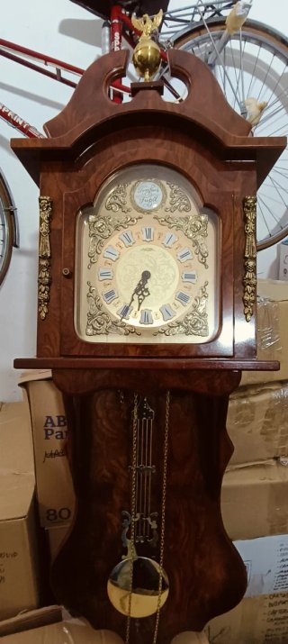 Reloj de Pared Tempus Fugit
