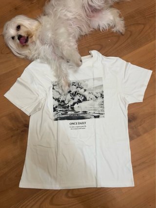 Pull & Bear camiseta blanca M