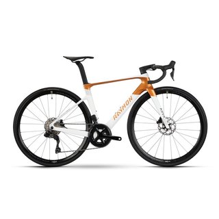 Bicicleta de Carretera Raymon Arva Comp