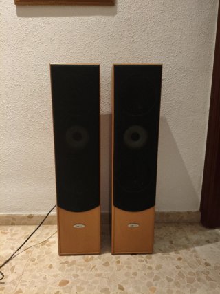 Pareja de Altavoces de Suelo ciatronic