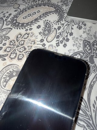 Pantalla solo la pantalla iPhone 13 Pro Max