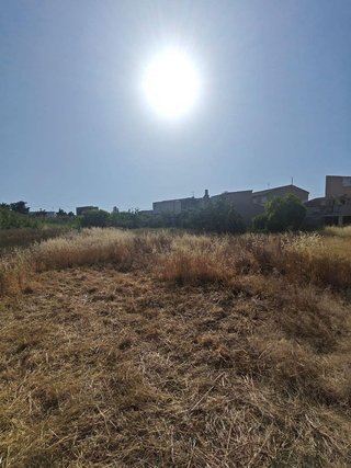 Fotografía 2