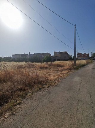 Fotografía 4