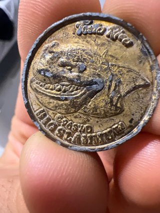 Moneda Antigua COASUD