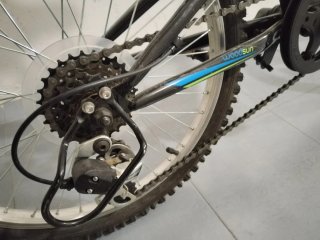 Bicicleta Infantil Woodsun 20 Pulgadas