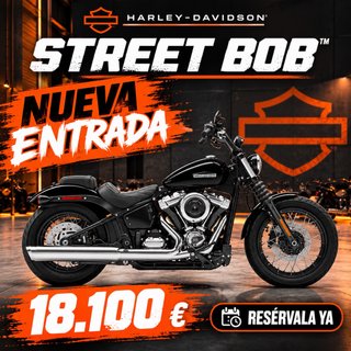 Harley - Davidson  Street bob 117