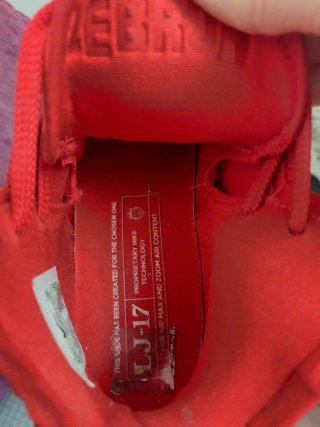 Nike LeBron talla 42 roja