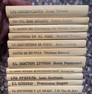 Lote de 11 libros clásicos: goytisolo sagan lessin