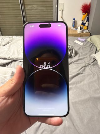 iPhone 14 Pro Max