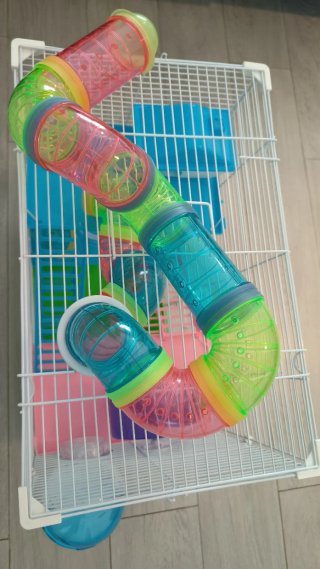 Jaula Hámster 3 Pisos + Accesorios