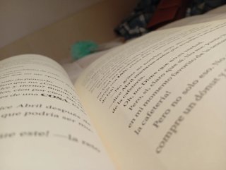 El diario de la cripta