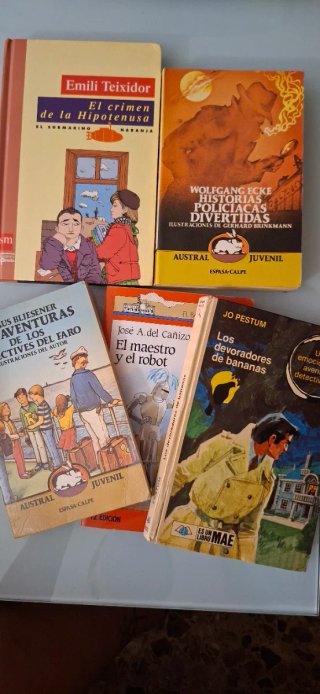 Lote 4 Libros juveniles de misterio