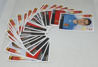 Cromos Euro 2008 de Panini Selección Española