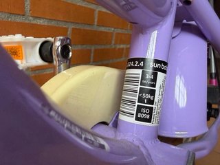 Bicicleta infantil niña 14 pulgadas Lavanda Morada
