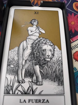 Los Arcanos Mayores del Tarot - Nina Bunjevac