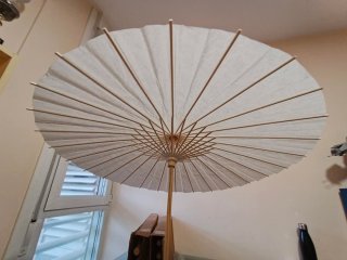 Lote de 10 parasoles de papel grandes