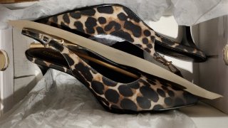 Zapatos Catwalk Animal Print Talla 40