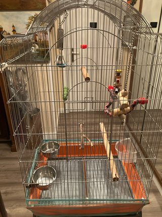 Jaula para pájaros con accesorios y pie