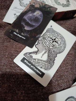 Tarot Seawitch 78 Cartas