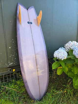 Tabla de surf retro fish