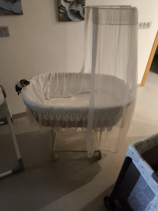 Moisés de Mimbre con Dosel