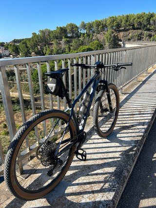 Scott Scale 925 carbono, tija telescópica, talla M