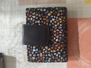 Monedero de Mujer Multicolor 10 x 9 x2 cms