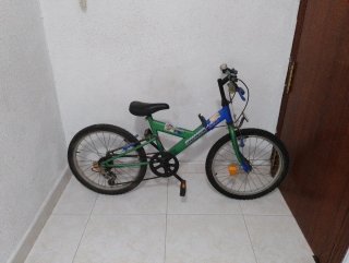Bicicleta Infantil 20 pulgadas.