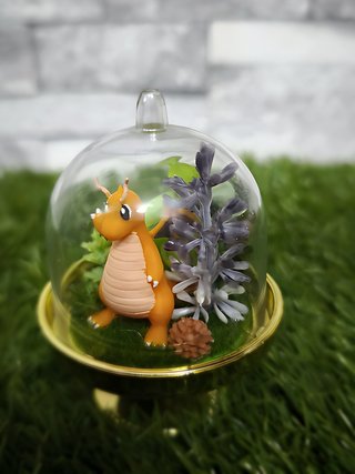 Cúpula terrario Dragonite Pokémon · mini diorama